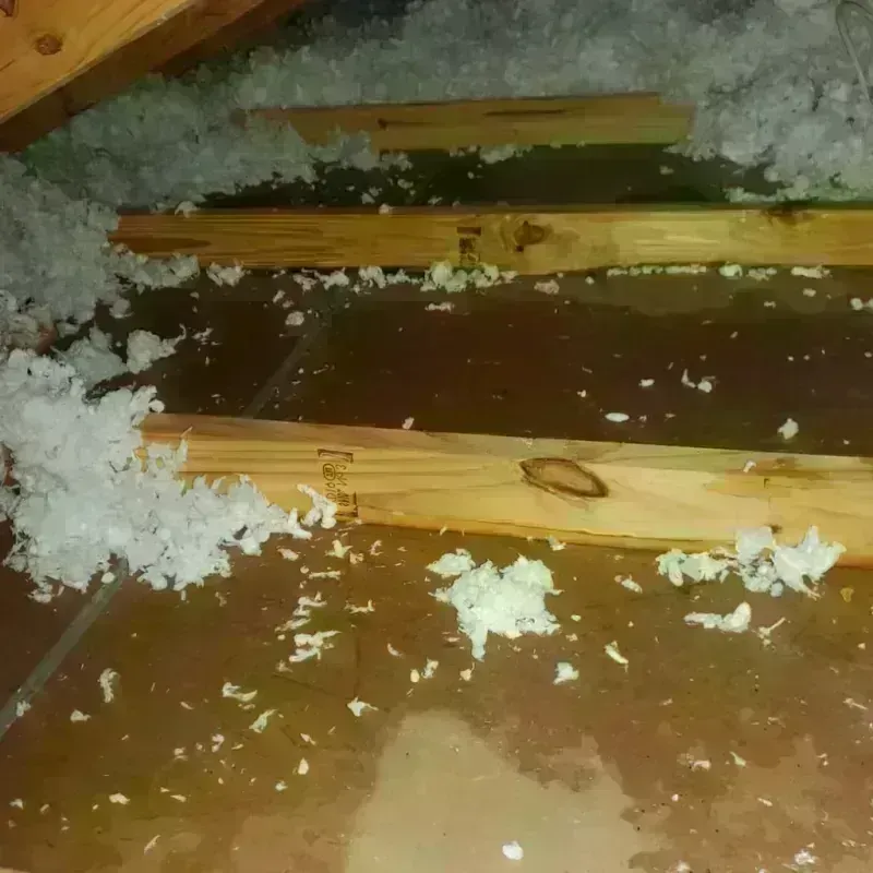 Attic Water Damage in Orrville, OH