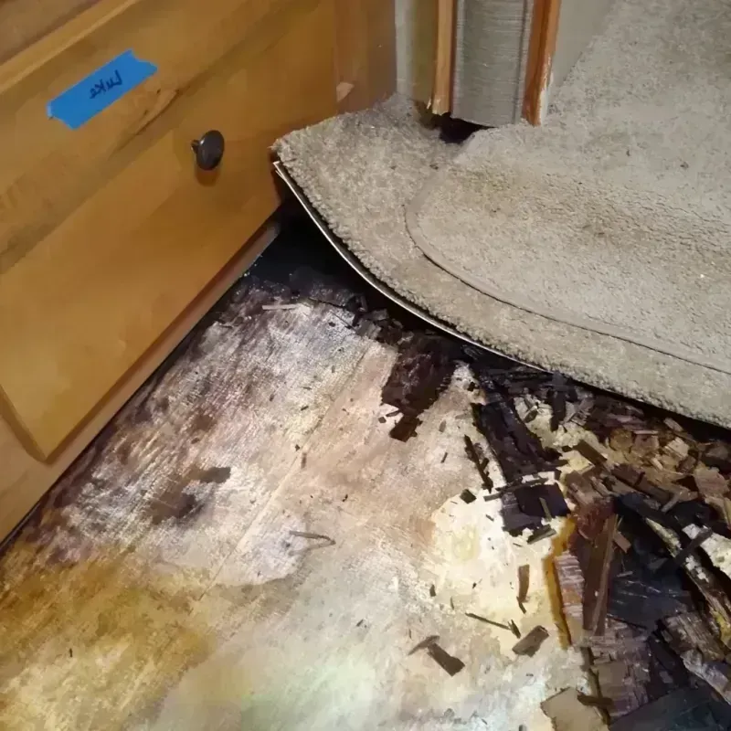 Best Wood Floor Water Damage Service in Orrville, OH